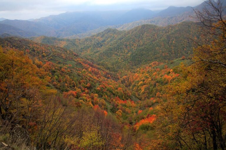 Autunno Slow
