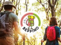 Beppino Baggage Transfer Service