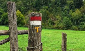 Trail sign in Via di Francesco Tuscany stages