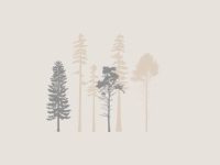 waypoints_placeholder