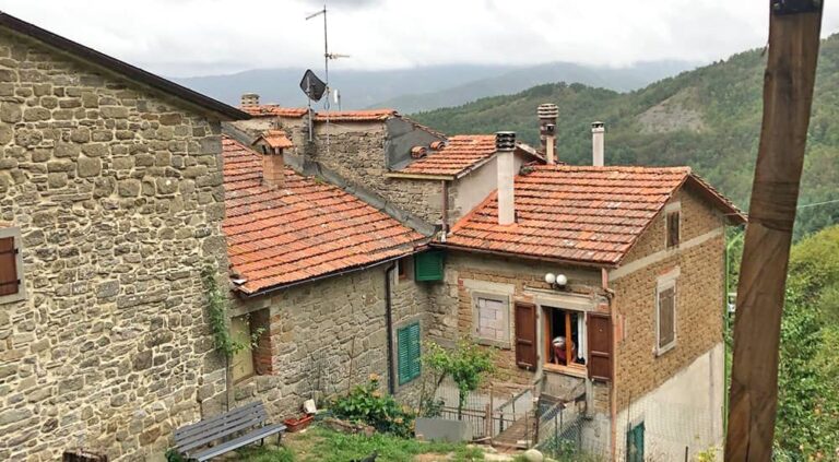 Frassineta