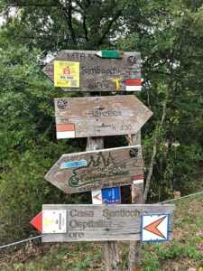 Trail signs on the path