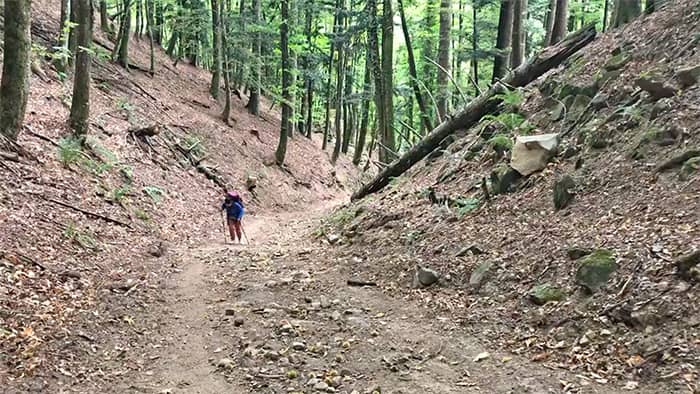 Steep mountain path at the initial stage to Badia Prataglia. Recommend using hiking poles.
