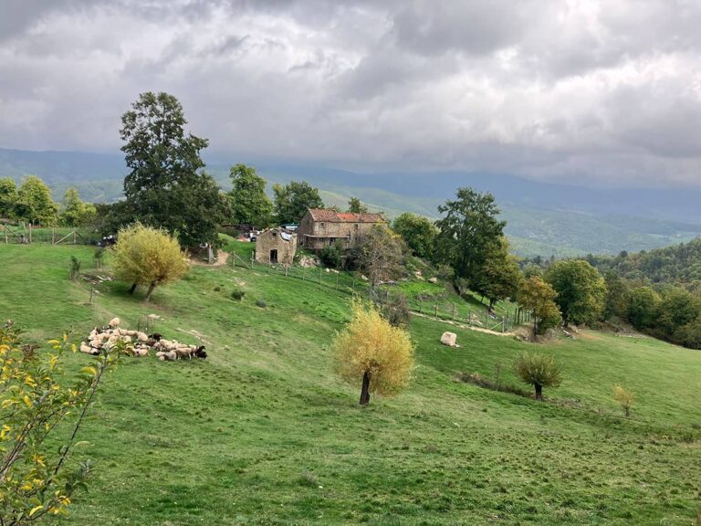 View in Villa